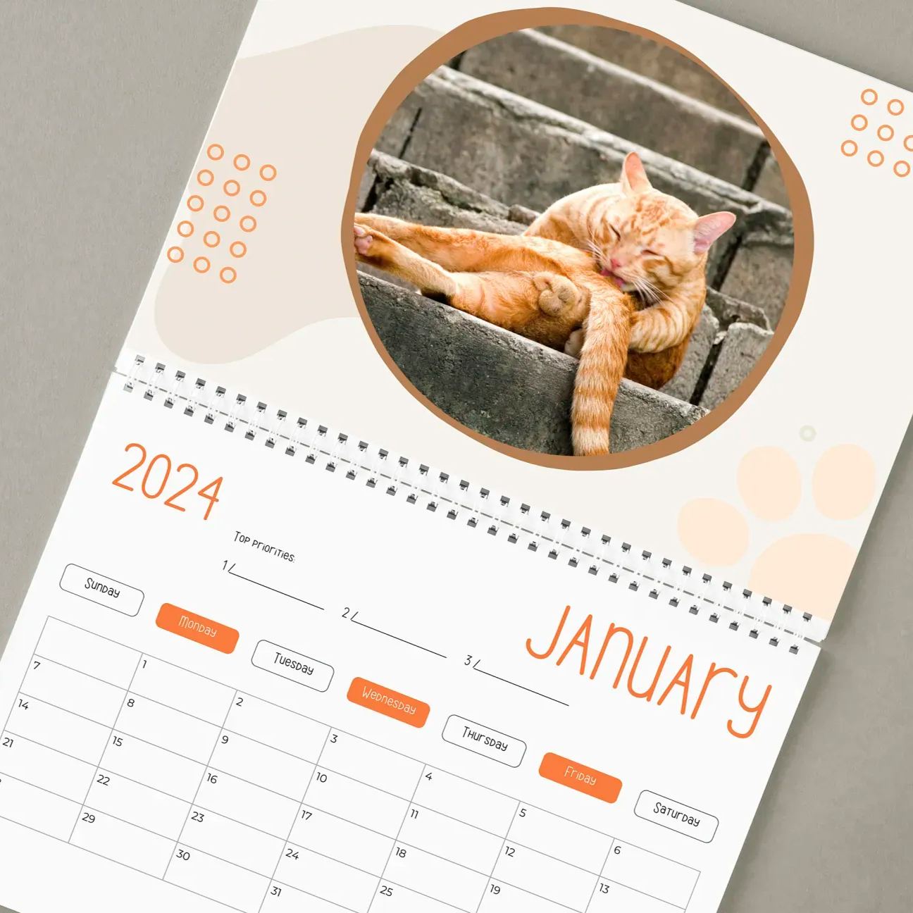 🤣Funny Cat Calendar 2024