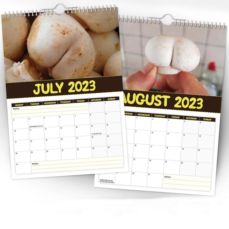 Christmas Calendar Gift