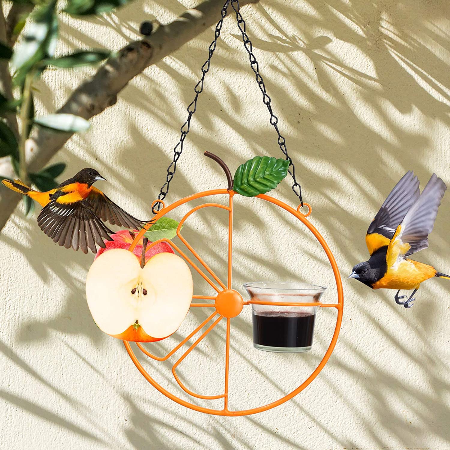 2 in 1 Hanging Clementine Hummingbird Oriole Feeder