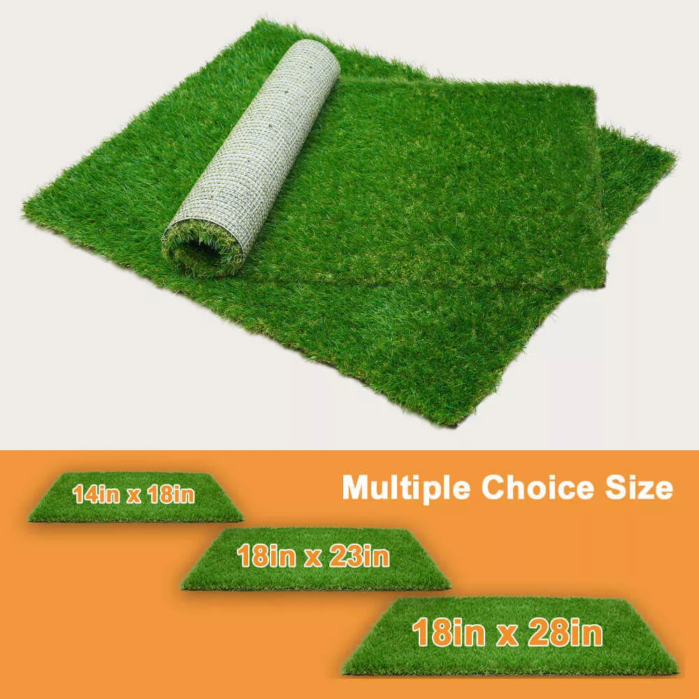 DOG LAWN