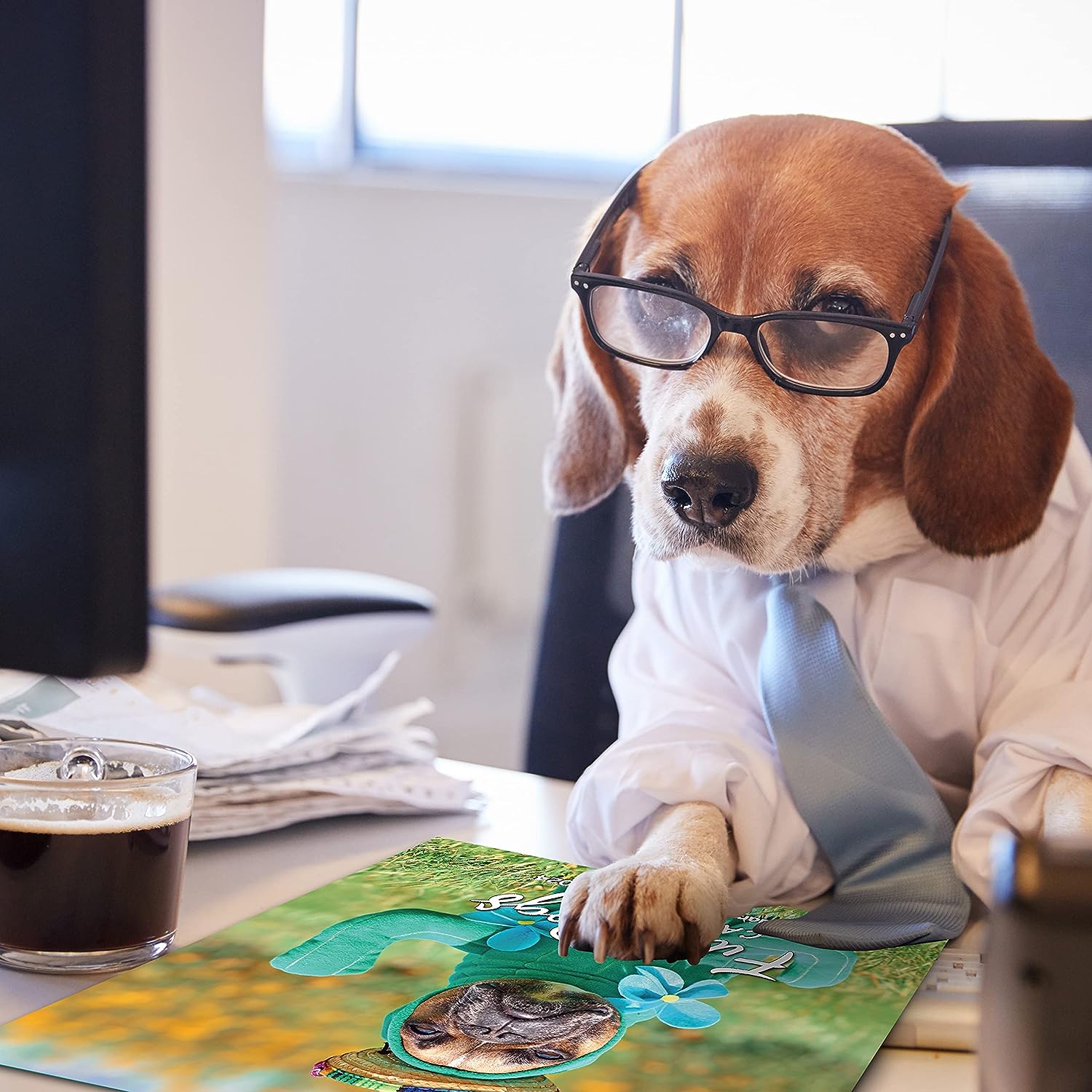 2024 Fun Dogs Wall Calendar