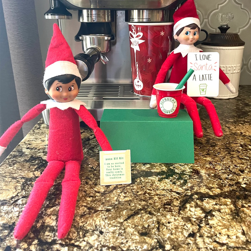 🎅CHRISTMAS HOT SALER-2022 Elf Kit 24 Days of Christmas🎁