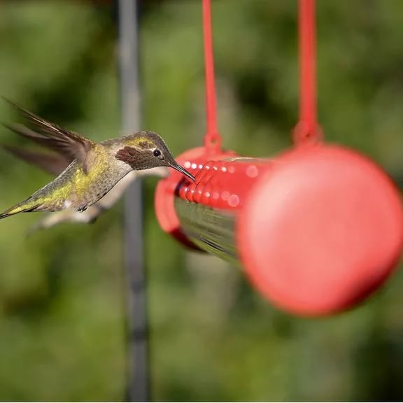 🔥New Year's Sale🐦Long tube hummingbird feeder