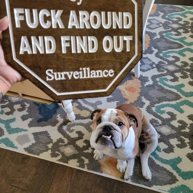 🔥Hot Sale 49% OFF - Security Sign Fuck Around and Find Out Sign🏡