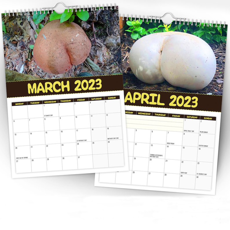 Christmas Calendar Gift