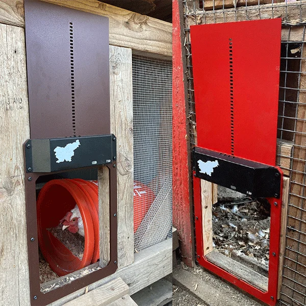 (🎁Best Gift🎁- 50% OFF)-Automatic Chicken Coop Door