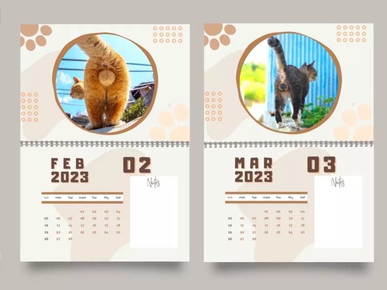 🤣2023 Funny Gift Cats Buttholes Calendar🐱