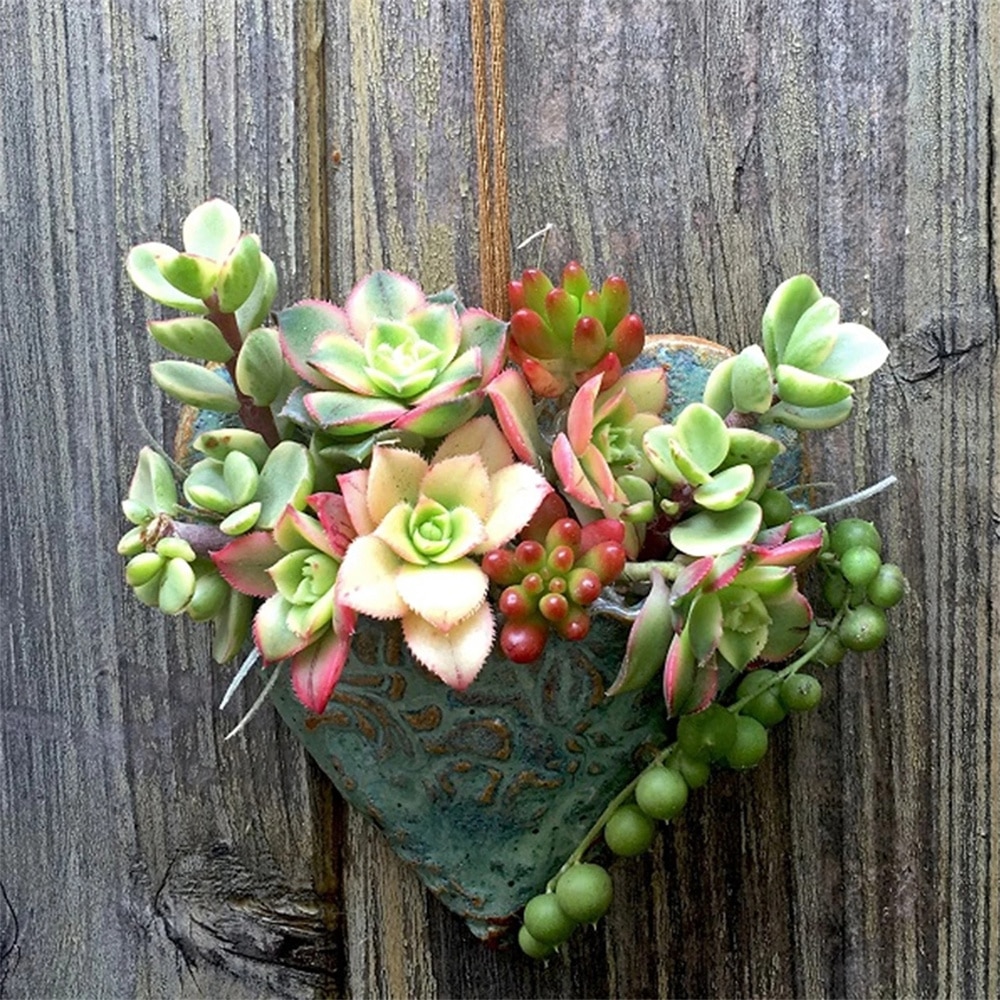 🌱PLANTING SUCCULENT HEART POCKET PLANTER🌱