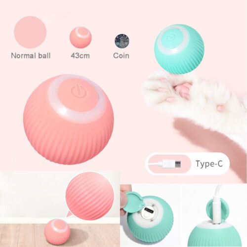 🐱Electric Cat Ball Toy Interactive for Cats