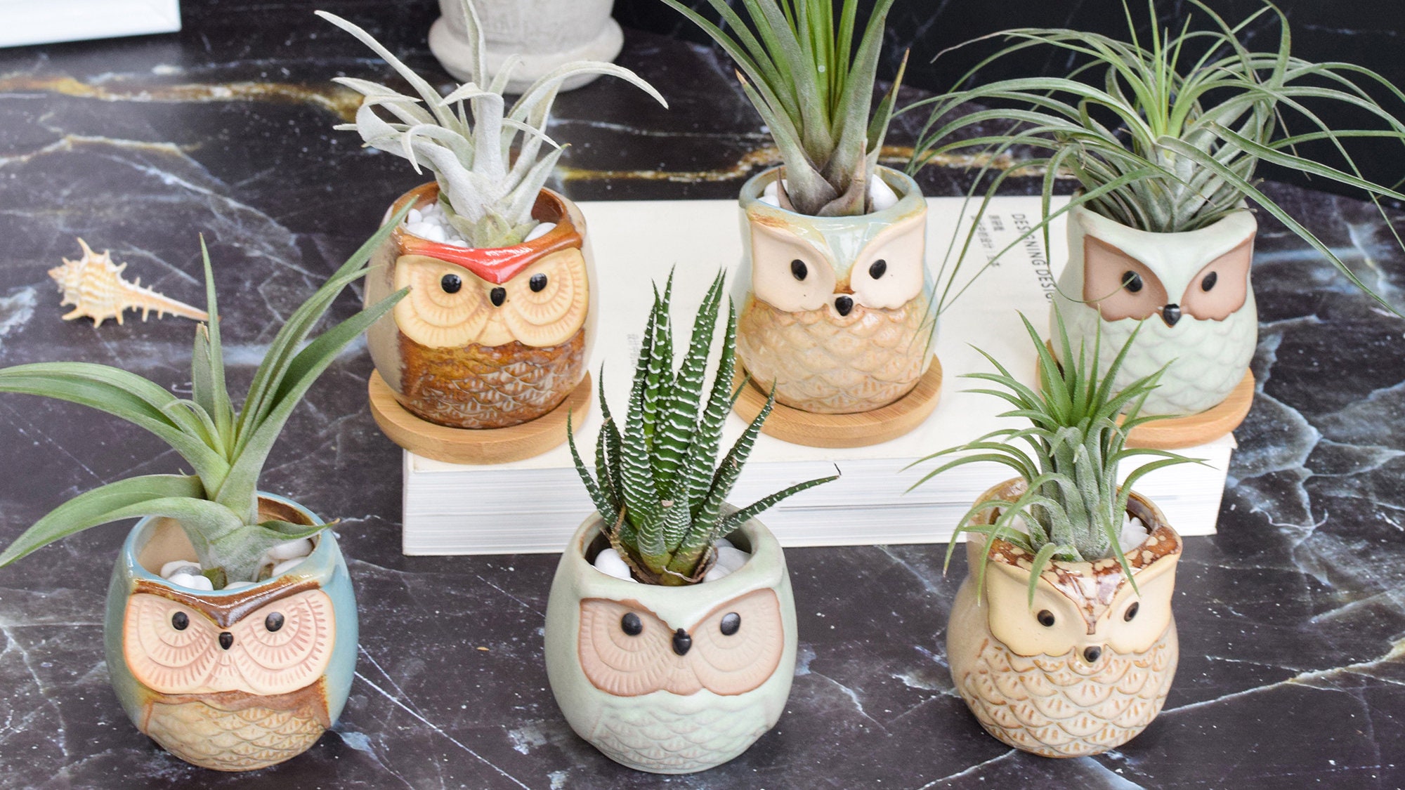 🦉Owl Pot Ceramic Flowing Glaze Base Serial Set Succulent Plant Pot
