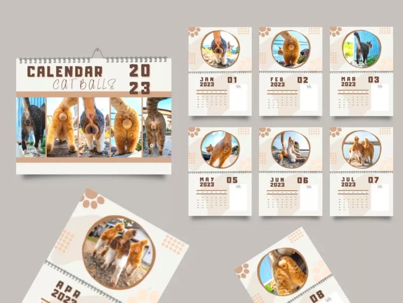 🤣2023 Funny Gift Cats Buttholes Calendar🐱