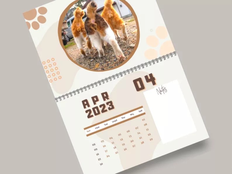🤣2023 Funny Gift Cats Buttholes Calendar🐱