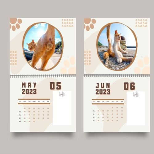 🔥Hot Sale 50% OFF🤣2023 Funny Gift Cats Buttholes Calendar
