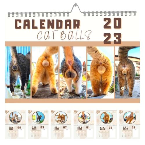 🔥Hot Sale 50% OFF🤣2023 Funny Gift Cats Buttholes Calendar
