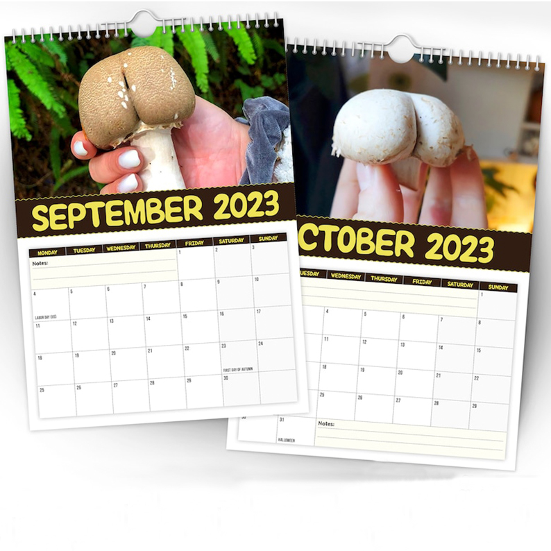 Christmas Calendar Gift