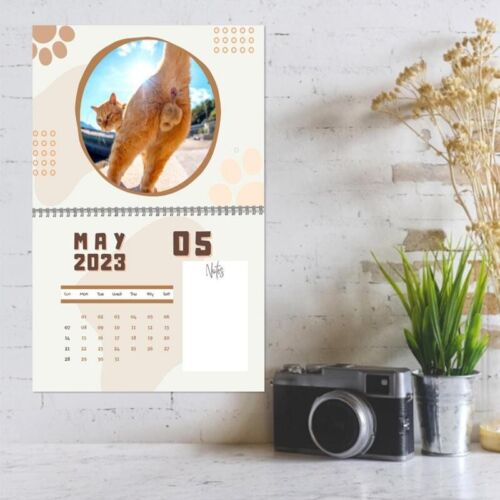 🔥Hot Sale 50% OFF🤣2023 Funny Gift Cats Buttholes Calendar