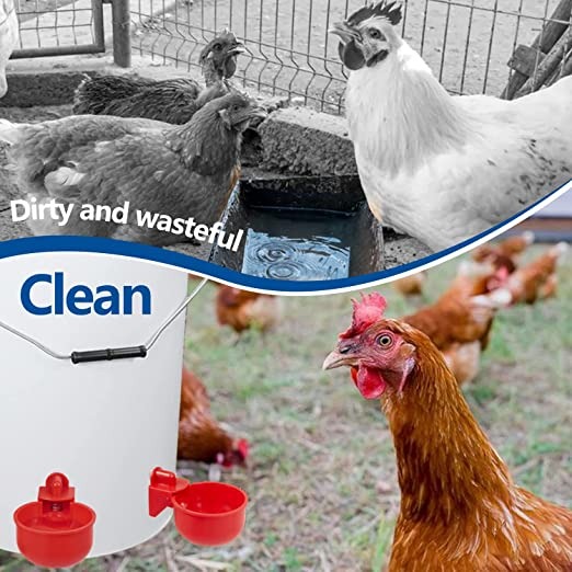 🔥Last Day 50% OFF🔥Automatic Chicken Water Cup Bird Coop