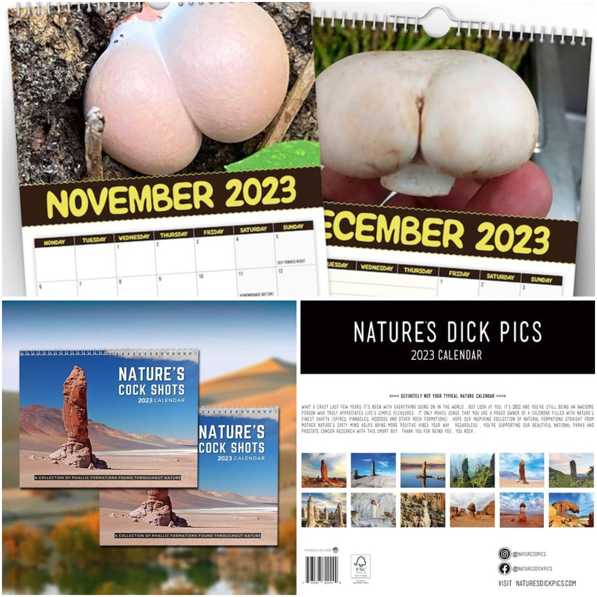 🎅Christmas Funny Calendar Gift🤣