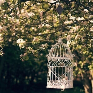 🔥💥Blowout Sale 49% OFF💖🌳Plant Pulley Set For Garden Baskets Pots,
