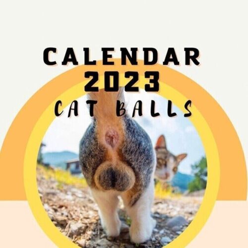 🔥Hot Sale 50% OFF🤣2023 Funny Gift Cats Buttholes Calendar
