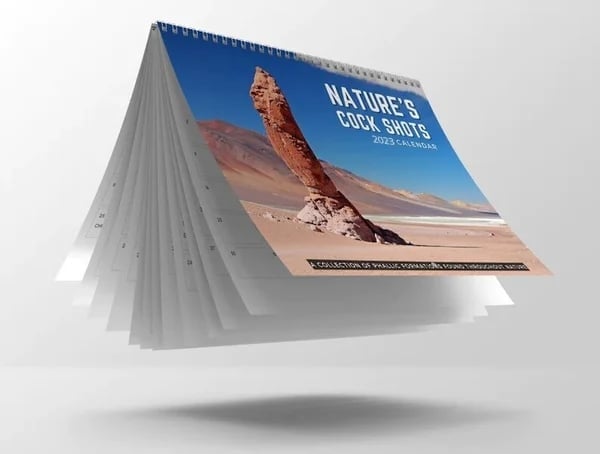 🎅Christmas Funny Calendar Gift🤣