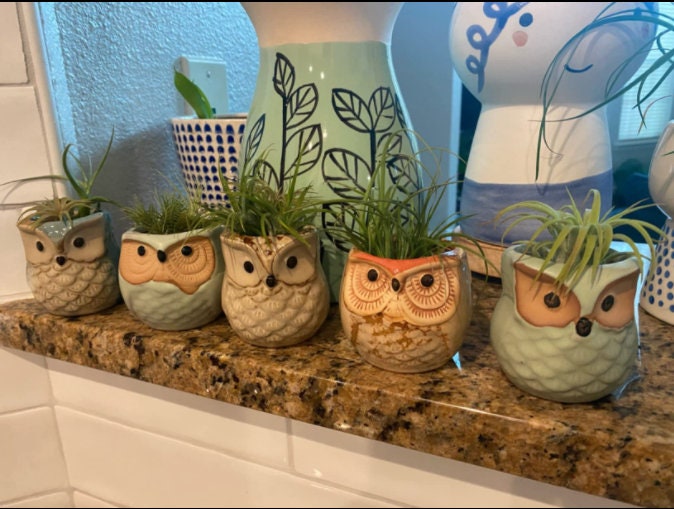 🦉Owl Pot Ceramic Flowing Glaze Base Serial Set Succulent Plant Pot