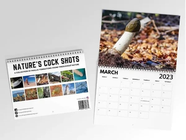 🎅Christmas Funny Calendar Gift🤣