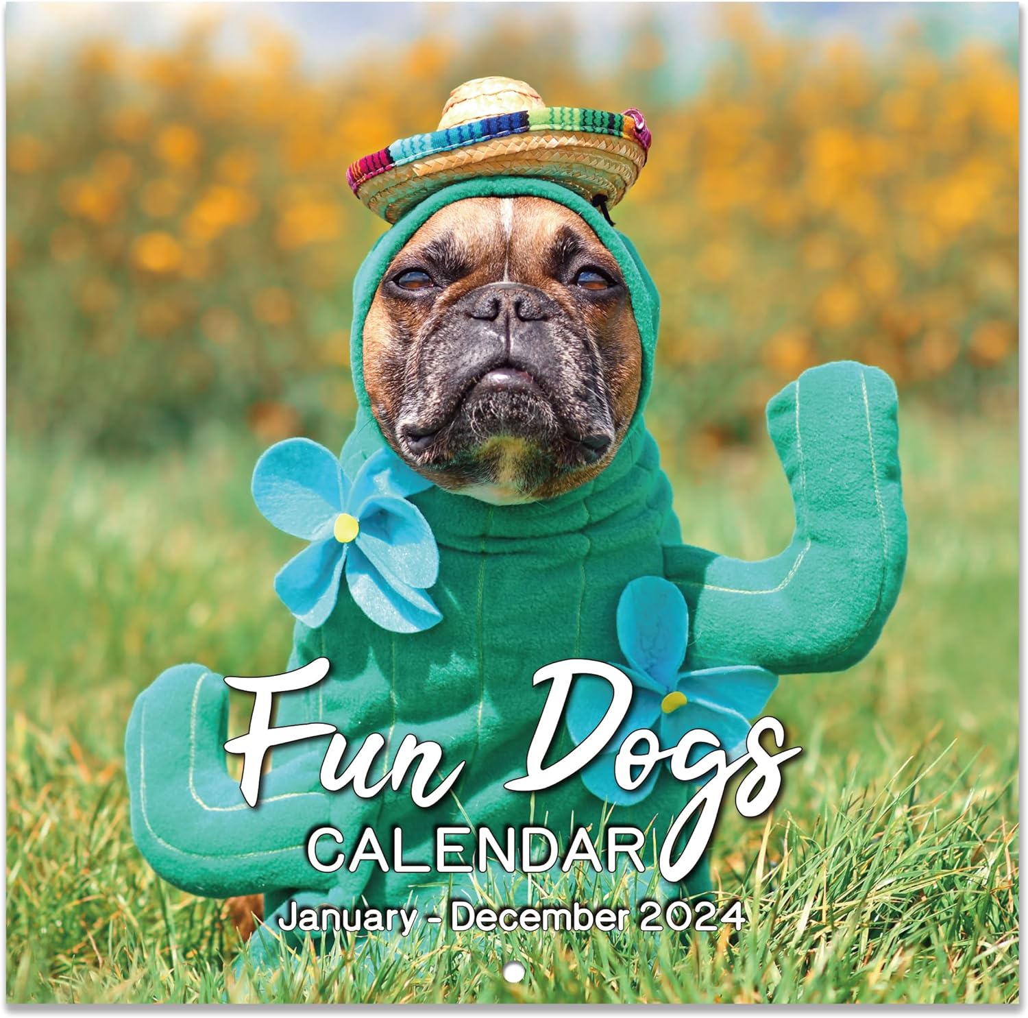 2024 Fun Dogs Wall Calendar