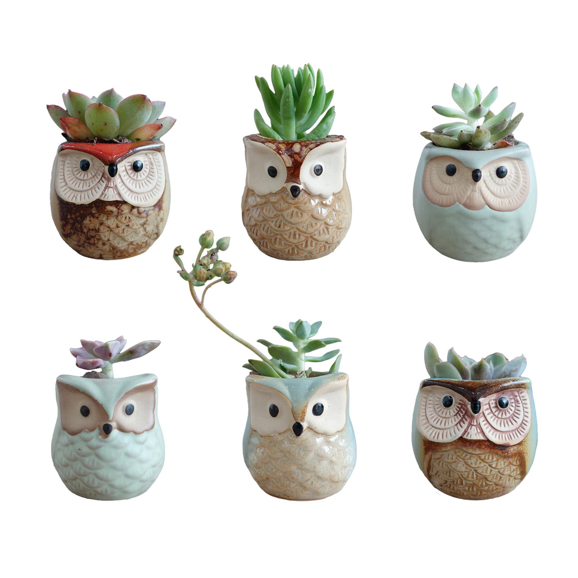 🦉Owl Pot Ceramic Flowing Glaze Base Serial Set Succulent Plant Pot