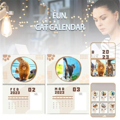🔥Hot Sale 50% OFF🤣2023 Funny Gift Cats Buttholes Calendar