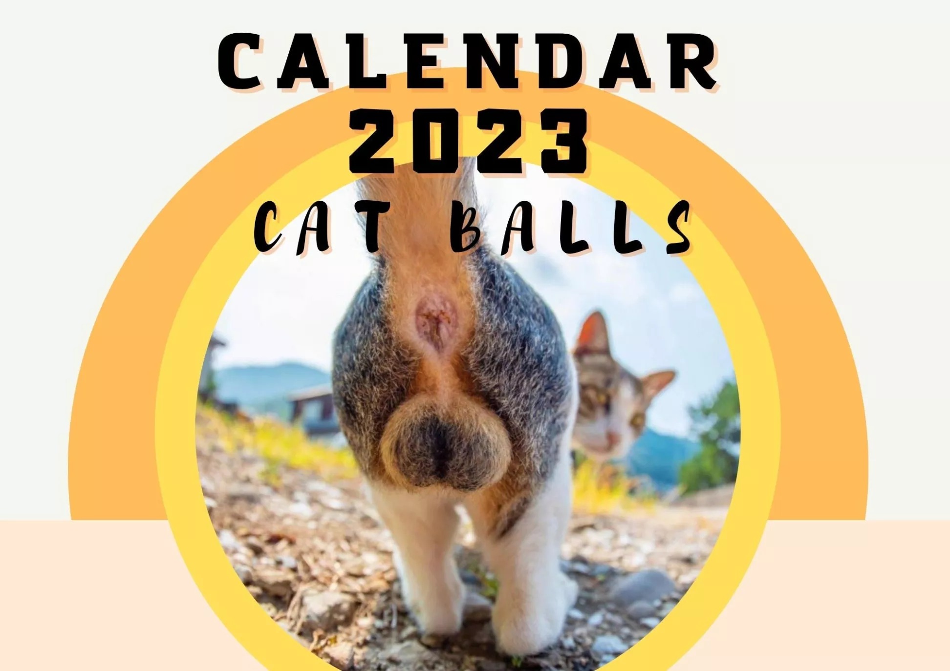🤣2023 Funny Gift Cats Buttholes Calendar🐱