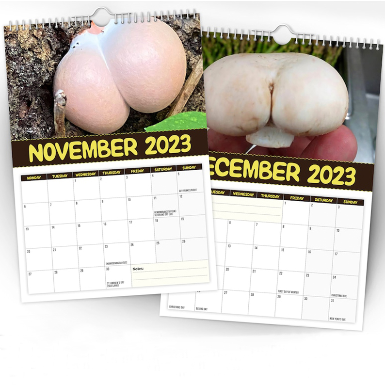 Christmas Calendar Gift