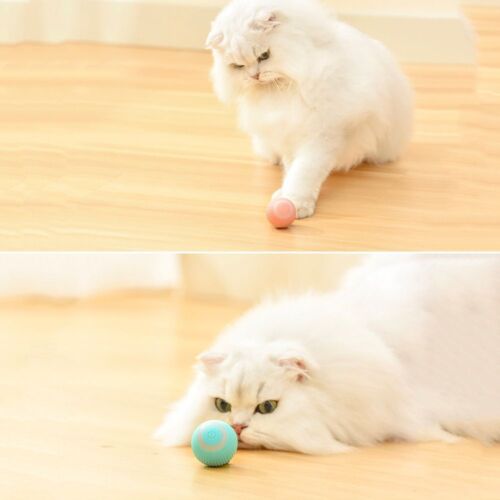 🐱Electric Cat Ball Toy Interactive for Cats