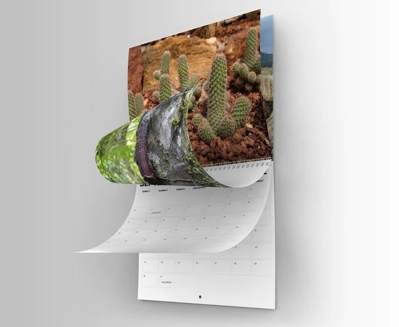 🎅Christmas Funny Calendar Gift🤣