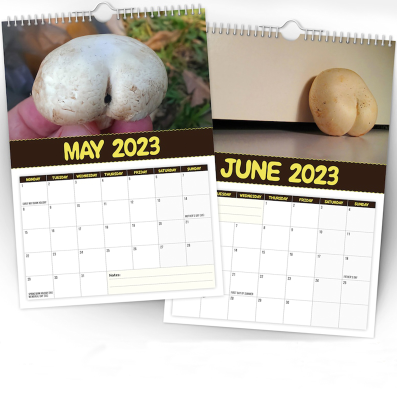 Christmas Calendar Gift