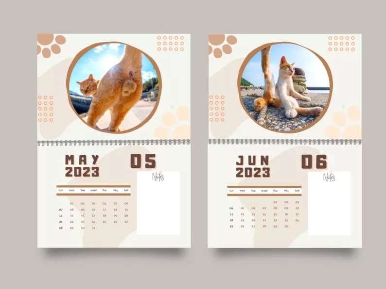 🤣2023 Funny Gift Cats Buttholes Calendar🐱