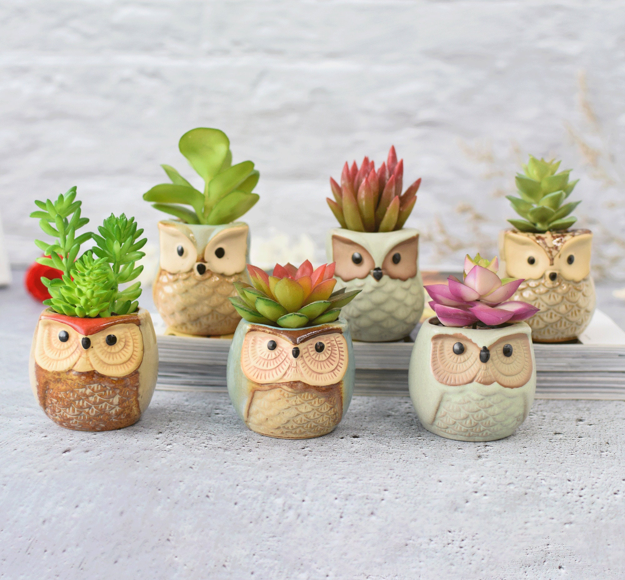 🦉Owl Pot Ceramic Flowing Glaze Base Serial Set Succulent Plant Pot