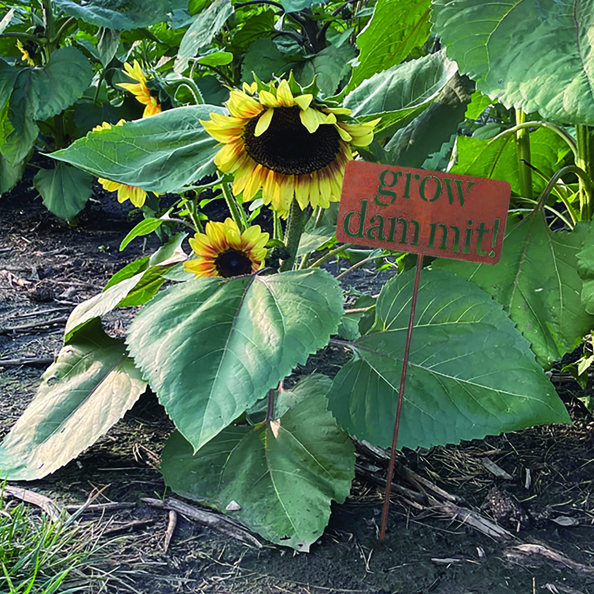 🔥 NEW ARRIVAL 🎁 grow. dammit. Funny Metal Garden Marker Stake Sign