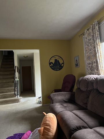 🐈9 Lives Together Wall Art🐈