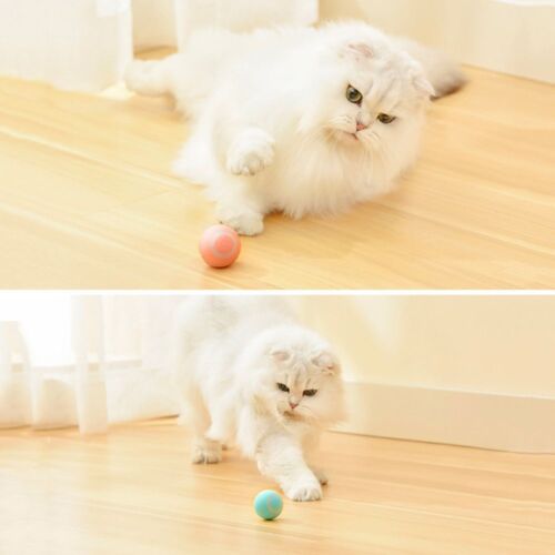 🐱Electric Cat Ball Toy Interactive for Cats