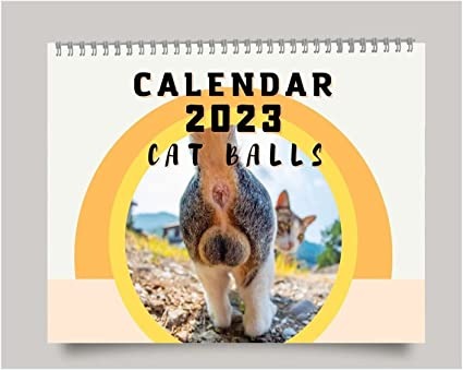 🤣2023 Funny Gift Cats Buttholes Calendar🐱Funny cat - Cat butt