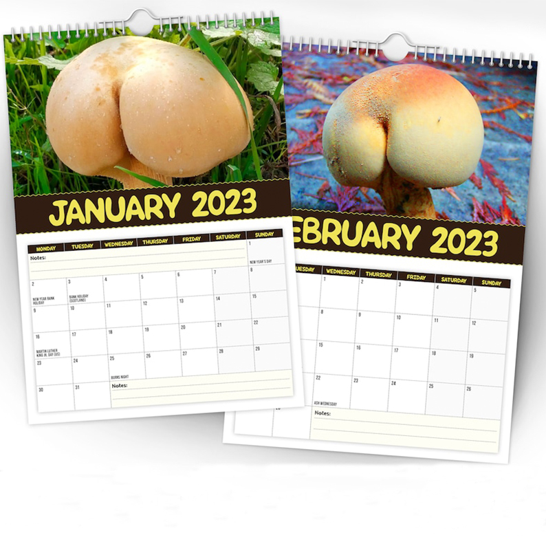 Christmas Calendar Gift