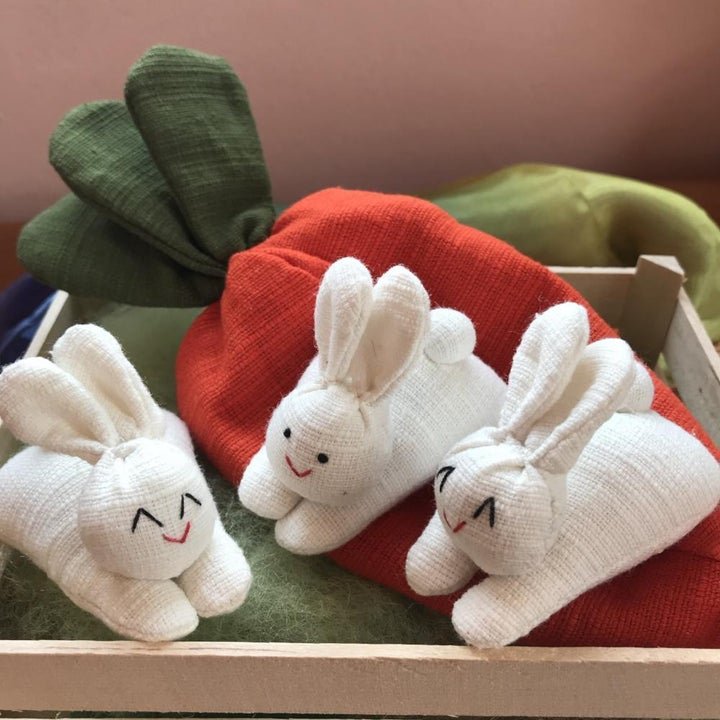 🎁Early Easter Sale- 50%OFF🎁Hide-and-Seek Bunnies in Carrot Pouch