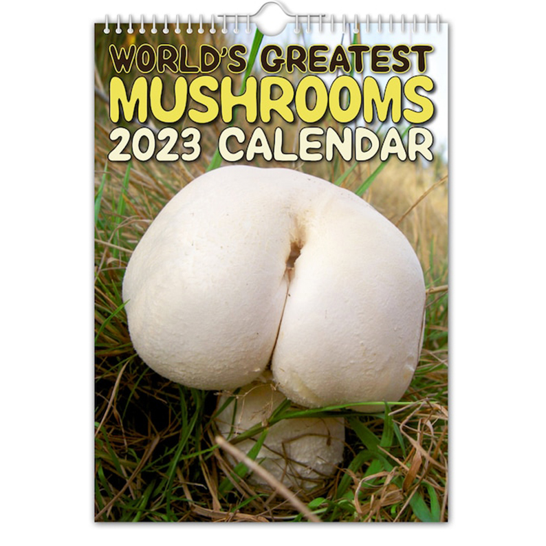 Christmas Calendar Gift