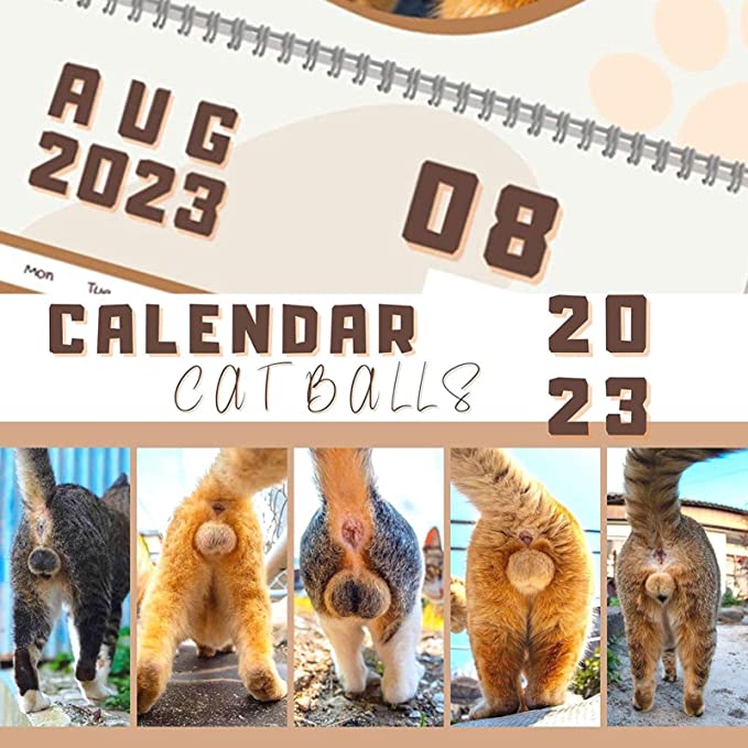 🔥Hot Sale 50% OFF🤣2023 Funny Gift Cats Buttholes Calendar