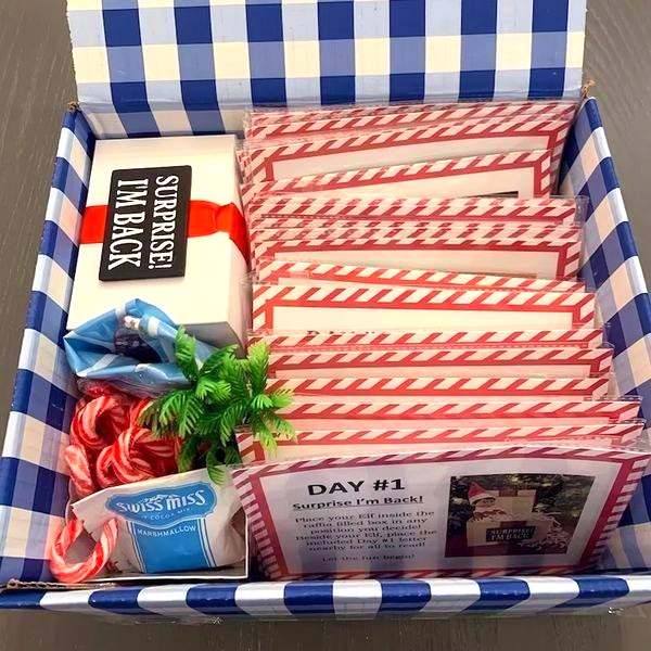 2022 Elf Kit 24 Days of Christmas