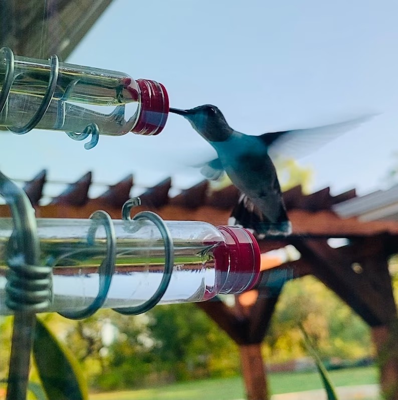 Geometric Window Hummingbird Feeder
