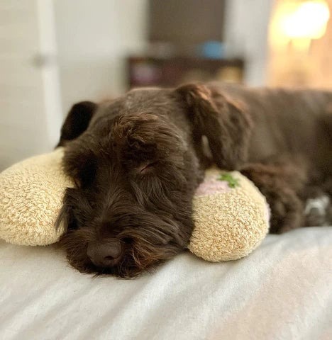 🔥HOT SALE🔥VersaTrendy Soft Pet Cushion