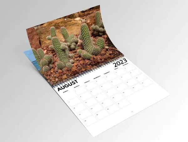 🎅Christmas Funny Calendar Gift🤣