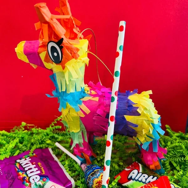 🎅CHRISTMAS HOT SALER-2022 Elf Kit 24 Days of Christmas🎁